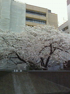 ビルの