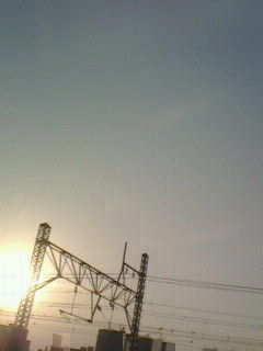 今日も