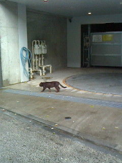 駐車場の