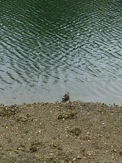 なんだ