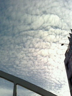 雲