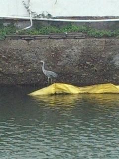 なんだ