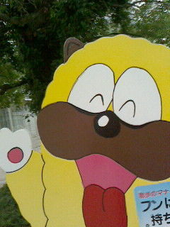 わんだった
