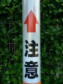びー