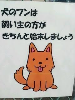 きちんと