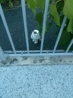 閉じ込め