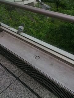 雨止み