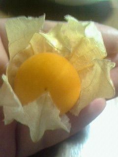 開帳