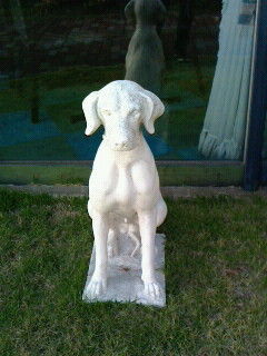 忠犬