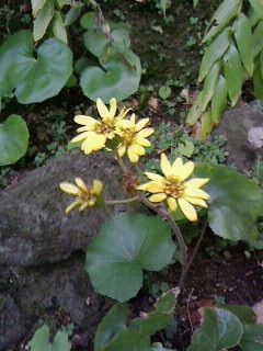 まだまだ