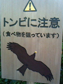 食べ物を