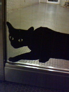闇に