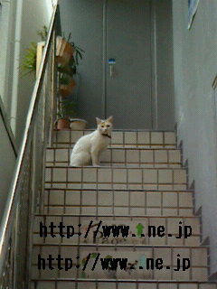 は、