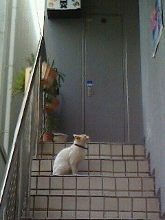 アングル