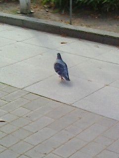 背後
