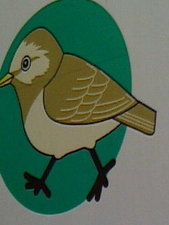 鳥