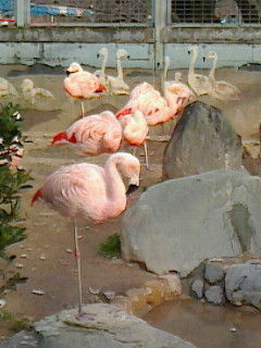 足