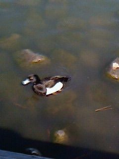 なんだ