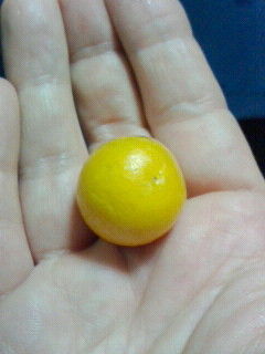 まるごと