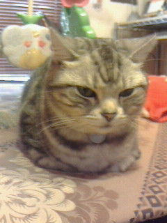 けむた
