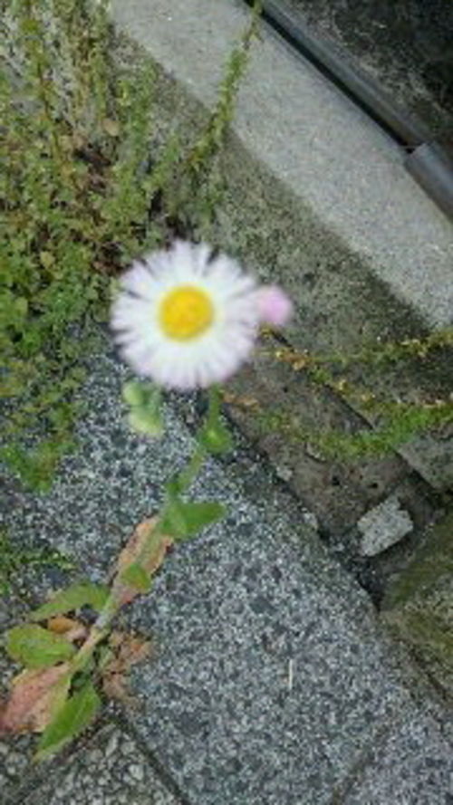 合わない