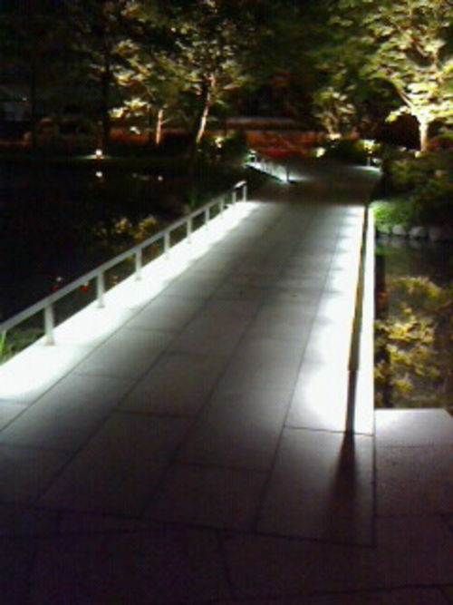 光り