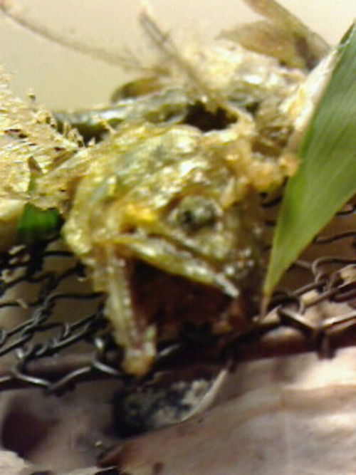 お頭