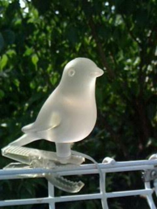 ぴぴぴ