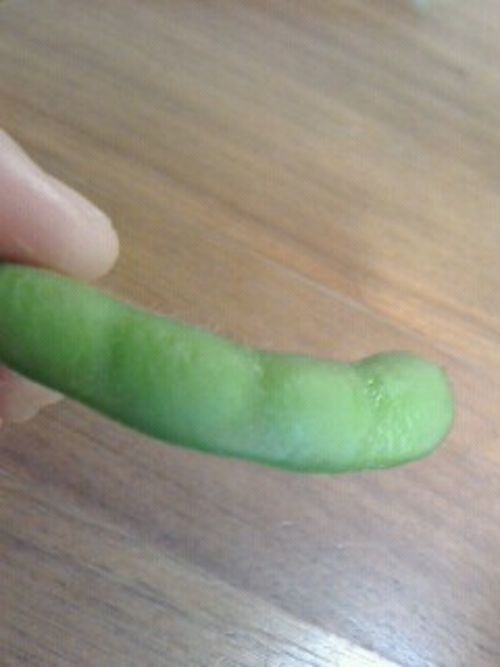 きた