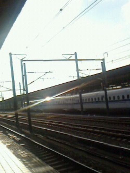 のぞみ