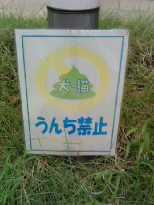 小なら