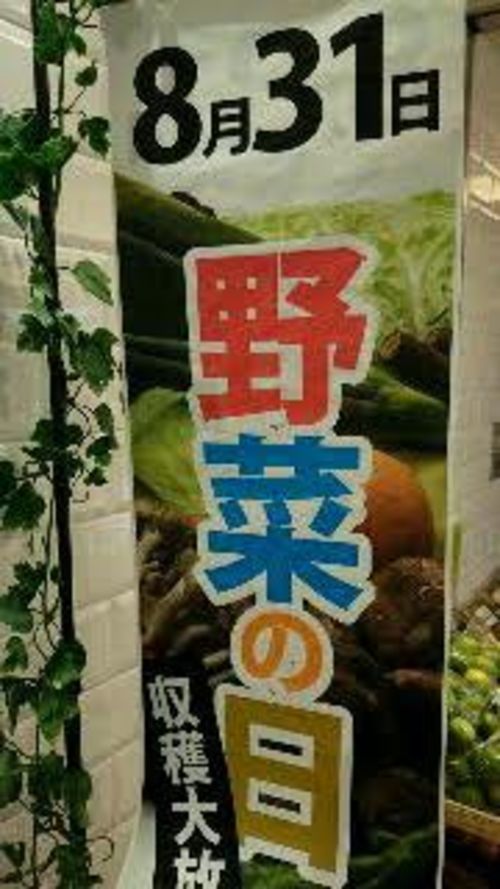 知らな