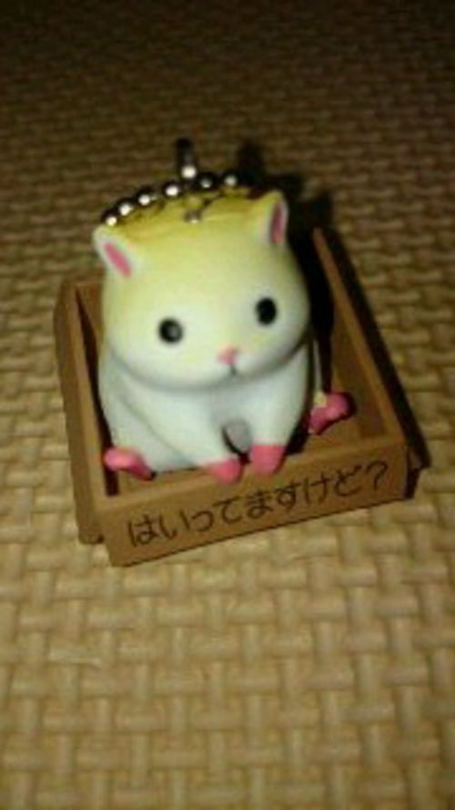 ナンだ