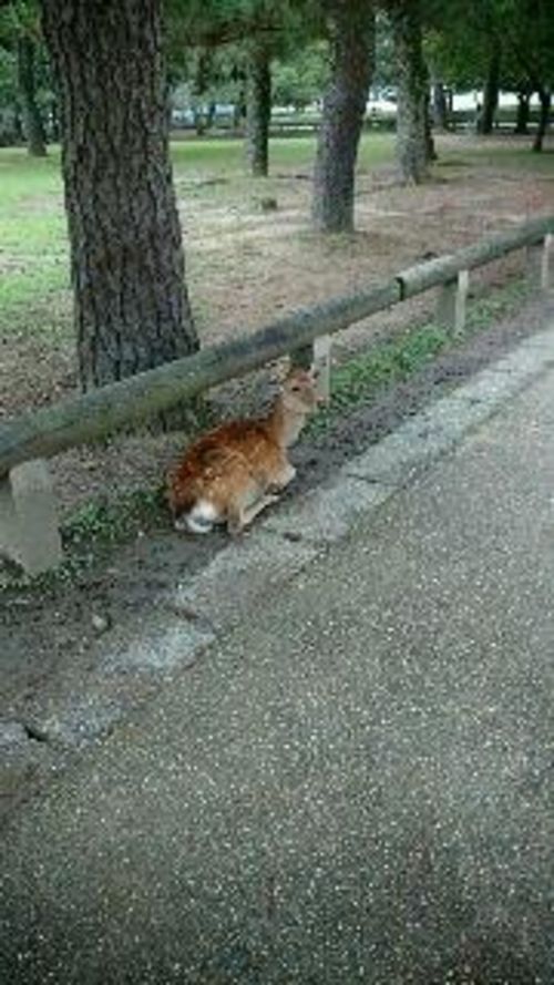 なんだ
