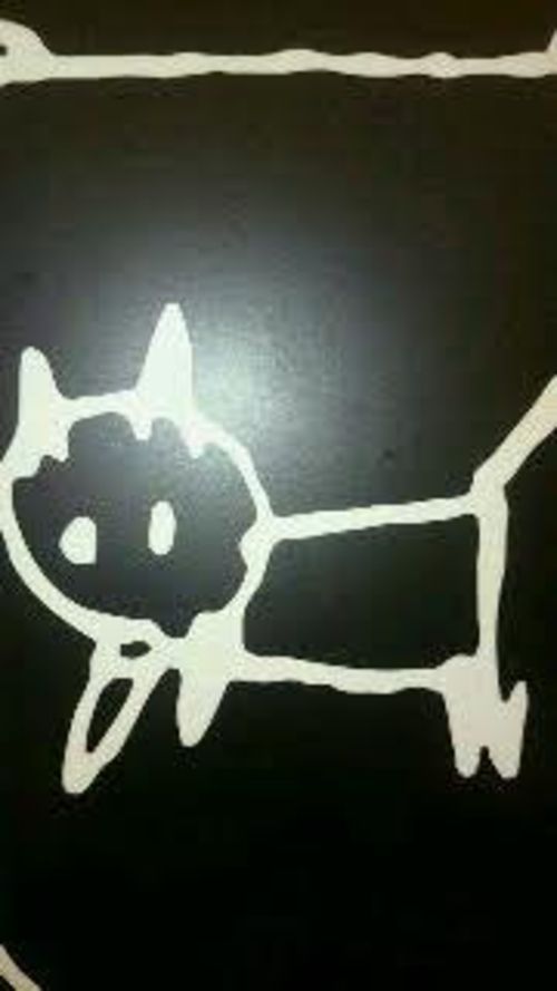 キャッ