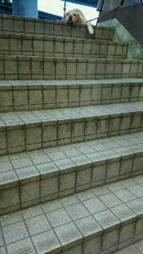 だらだら