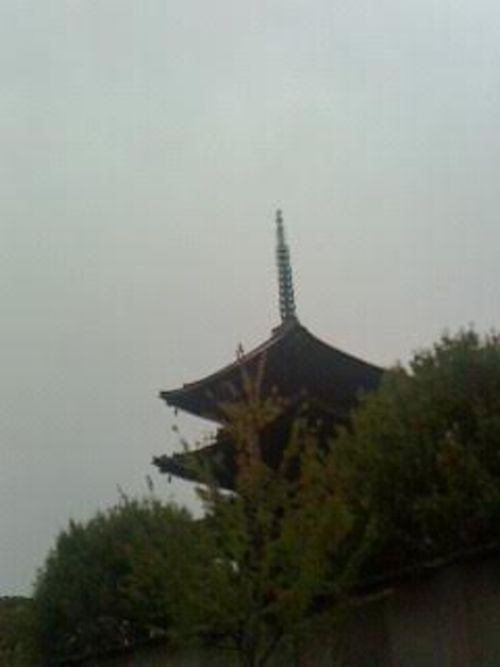 風情