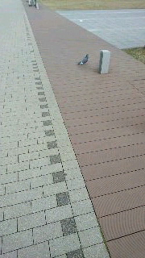 横目で