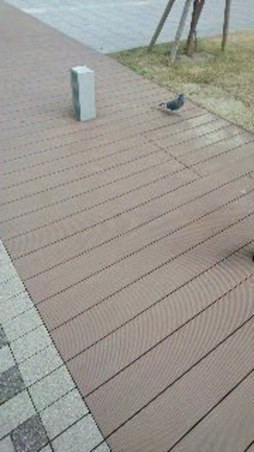 横目に