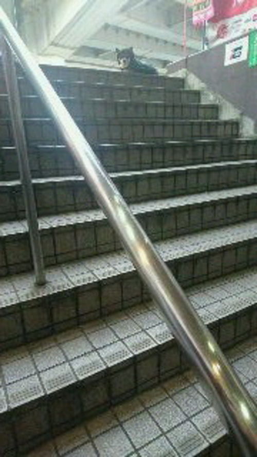 なんだ