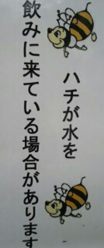 来ない