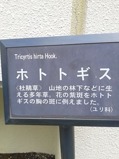 へえ