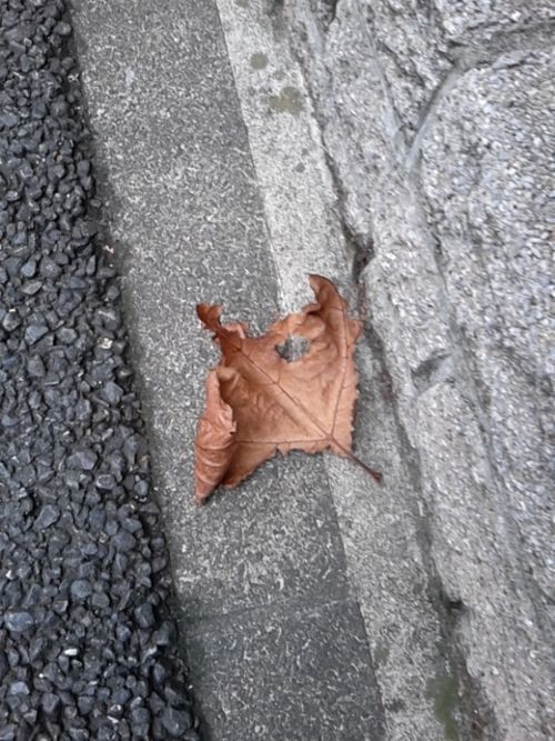 そんな
