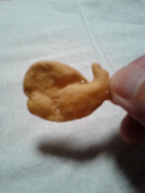くじら