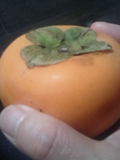 となりの