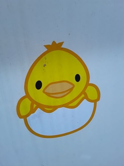 the