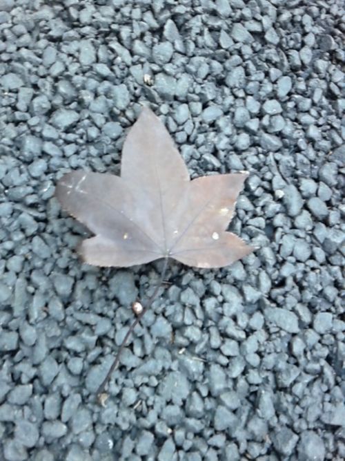 おち