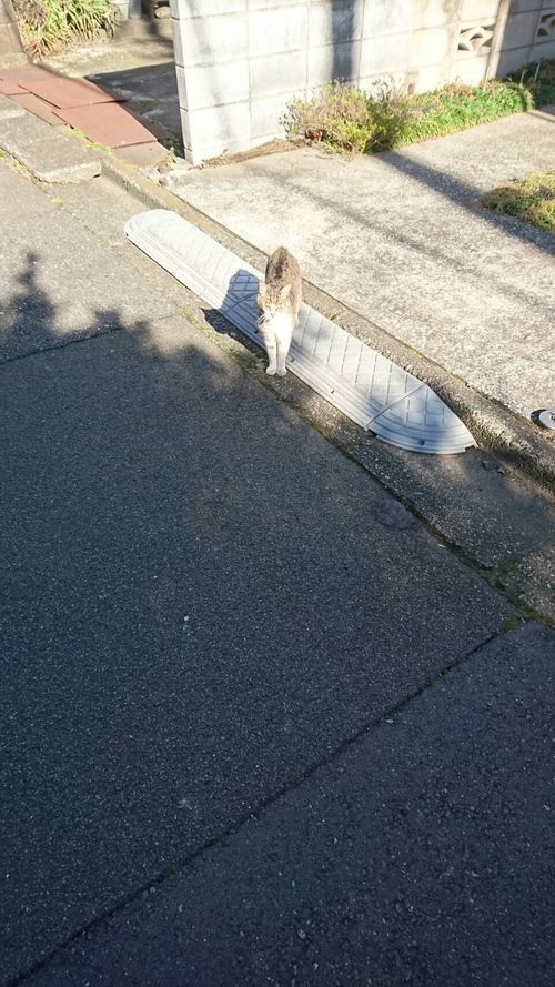 実に