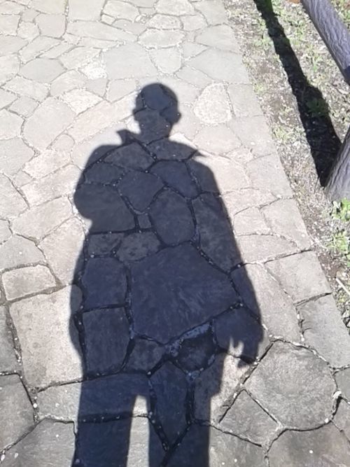 著者