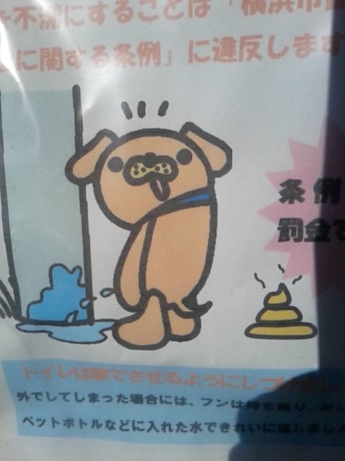 いぬも